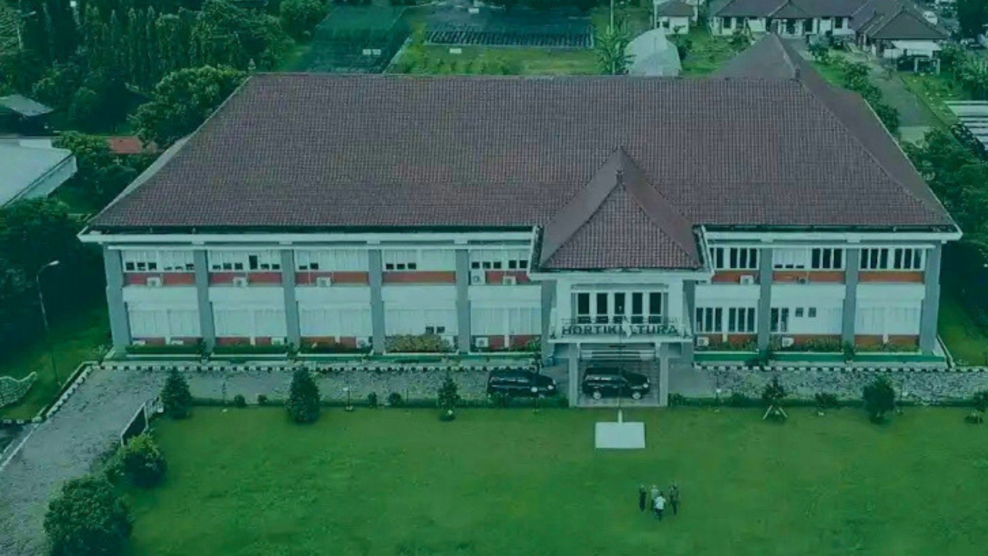 Hortikultura